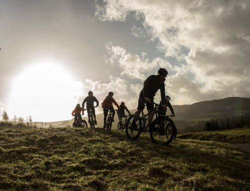 Thousands of new south of Scotland visitors planned after new tourism project revealed